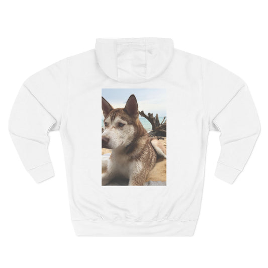 Three-Panel Fleece Hoodie